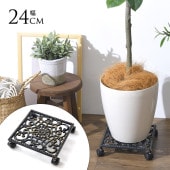 ���� ���㥹�����դ� �ץ��ȥ���꡼ �������� 24cm ���㥹��������ƥ����� ȭ�� ������ ���� ���� �ץ�󥿡��� 5�� 6�� 7�� 8��