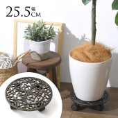 ���� ���㥹�����դ� �ץ��ȥ���꡼ ������ ľ��25cm �֥�å� ���㥹��������ƥ����� ȭ�� ������ ���� ���� �ץ�󥿡��� 5�� 6�� 7�� 8��