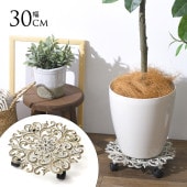 ���� ���㥹�����դ� �ץ��ȥ���꡼ ������ ľ��30cm �ۥ磻�� ���㥹��������ƥ����� ȭ�� ������ ���� ���� �ץ�󥿡��� 5�� 6�� 7�� 8��