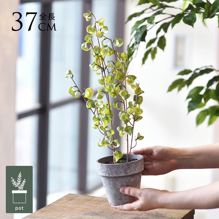 人工観葉植物です 楽天市場】RAKU パキラ フェイクグリーン 大型 120/150cm 鉢付き 観葉