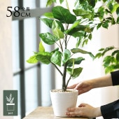 �ե��������꡼�� ȭ�դ� ������� ����٥顼�� �ݥå�  �͹����տ�ʪ ȭ���� ����ƥꥢ���꡼�� ��� ���� ������ ���� ȭ�� ȭ �ܥ��˥��� �� ¤�� �ե����� �͹� ��ʪ ��ӥ� ���� ���ե� Ź��  ������̵����