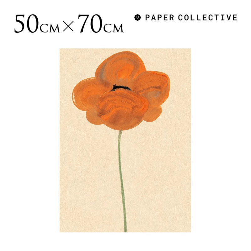 �ڡ��ѡ����쥯�ƥ��� Paper Collective �����ȥݥ����� ����󥸥ݥԡ� ��ݲ� 50��70cm 50 70������ ����ƥꥢ ���� ������� ���奢���� ��ݲ� ����� ��ӥ� �� ����