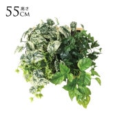 �ե��������꡼�� �ɳݤ� ���å��ե졼�� ����󥸥ʥ����� B �⤵55cm  �ե����� ���꡼�� �ɳݤ� �� �ե졼�� ������� �緿 ���� �����в� ����ƥꥢ ���� ���� ��ӥ� ���ե��� ���ե� ����å� Ź��  ������̵����