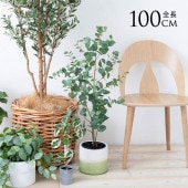 �桼���� �ĥ꡼�ݥå� �⤵100cm �͹����տ�ʪ�緿 �ꥢ�� ������� ���� ��ӥ� ���� ���� ��ʪ���ä���