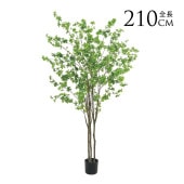 �ե��������꡼�� ȭ���� ���տ�ʪ ȭ�դ� �ݥå� �ɥ����� �⤵210cm  �͹����տ�ʪ �緿 �ꥢ�� ������� ���� ��ӥ� ���� ���� ��ʪ���ä���  ������̵����