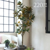 �ޥ��Υꥢ �ĥ꡼ �⤵220cm �͹����տ�ʪ�緿 �ꥢ�� ������� ���� ��ӥ� ���� ���� ��ʪ���ä���