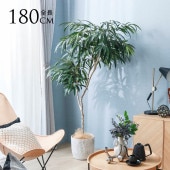 �ե��������꡼�� ȭ���� ���տ�ʪ ȭ�դ� �ݥå� ���祦�ʥ󥴥� �⤵180cm  �͹����տ�ʪ �緿 �ꥢ�� ������� ���� ��ӥ� ���� ���� ��ʪ���ä���  ������̵����