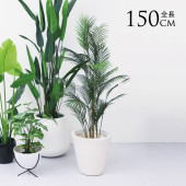 �ե��������꡼�� ȭ���� ���տ�ʪ ȭ�դ� �ݥå� ���쥫�䥷 �⤵150cm  �͹����տ�ʪ �緿 �ꥢ�� ������� ���� ��ӥ� ���� ���� ��ʪ���ä���  ������̵����