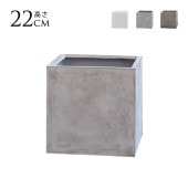 �ץ�󥿡� ������ ���� ����ȭ �����˶��� �ƥ���� ���塼�� ��24cm  ȭ���С� ȭ �ץ�󥿡����С� �ڤ� �礭�� �ͳ� �ѷ� ����ץ� ������� ���� ���� ���С� ����  ������̵����