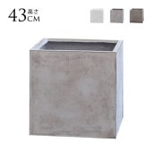 �ץ�󥿡� ������ ���� �緿 ����ȭ �����˶��� �ƥ���� ���塼�� ��44cm  ȭ���С� ȭ �ץ�󥿡����С� �ڤ� �礭�� �ͳ� �ѷ� ����ץ� ������� ���� ���� ���С� ����  ������̵����