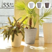 �ץ�󥿡� ���� �緿 ����ȭ �����˶��� �ƥ���� �饦��� 18�� ľ��55cm  ȭ���С� ȭ �ץ�󥿡����С� �ڤ� �礭�� ���С� ����ץ� ������� ���� �����ǥ˥�  ������̵����