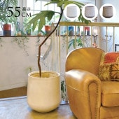 �ץ�󥿡� ���� �緿 ����ȭ �����˶��� �ƥ���� �ɥ��å� ľ��54cm  ȭ���С� ȭ �ץ�󥿡����С� �ڤ� �礭�� �� �� ���� ����ץ� ������� �����ǥ˥� ����  ������̵����