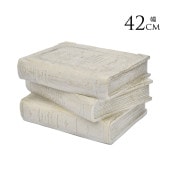 �����ǥ󻨲� �ե�������� ���� 3�֥å��� ��42cm  ���֥��� �����ǥ� ��ʪ ����ƥꥢ ���� �ץ�󥿡�������� ȭ�� ����ƥ����� ���� ���� ���� ���� ��  ������̵����