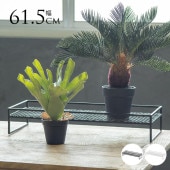 ���� ���� ������� �������� ����ץ� �ץ��ĥ������ �쥯�� ��61.5cm  �ץ�󥿡�������� Ĺ���� �ե�������� ������ ȭ�� ��å����� ��ʪ ������� �� �� �ۥ磻�� �֥�å� �����ǥ��å� �����ǥ˥�