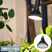 BARREL ��ʪ�����饤�� WAP-SUN-20W