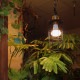 PLANTS LIGHT 40 COOL ʪ饤ȥȥ졼 Ÿ/ ƥꥢ/¿ ʪ / ڱ / в/տʪ/ 饤//BRID/