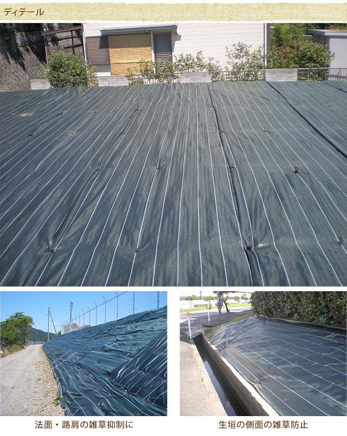 ̳ 𥷡 1m50m ΰ/ϩ/٥Ȳ/־/̳ѥ/סĹ/ǥ/ǥ˥/ƥꥢ/