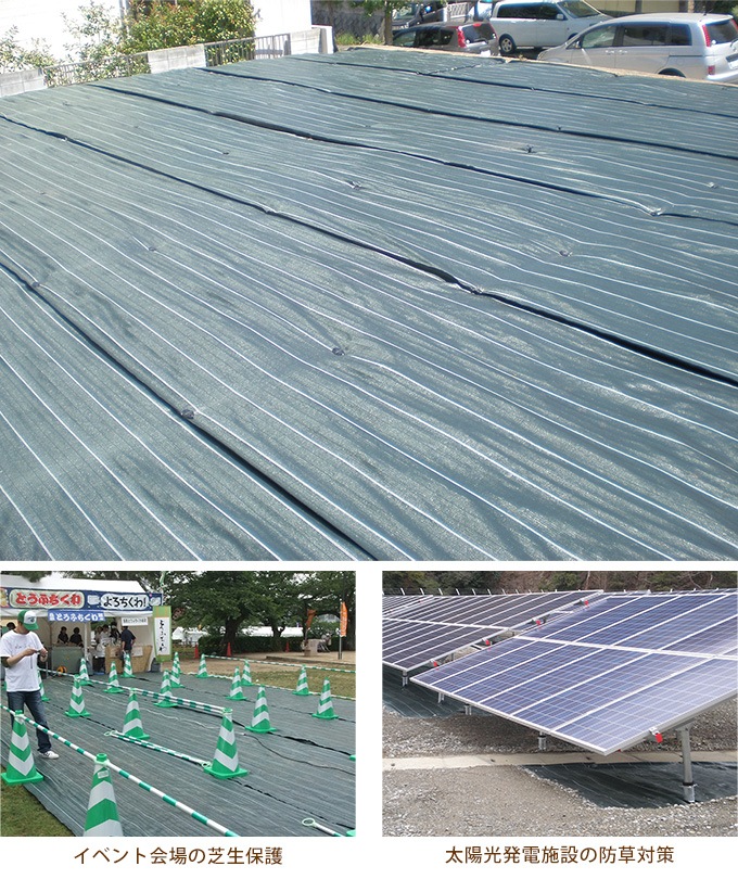 ̳ 𥷡 1m50m ΰ/ϩ/٥Ȳ/־/̳ѥ/סĹ/ǥ/ǥ˥/ƥꥢ/