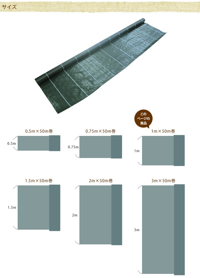 ̳ 𥷡 1m50m ΰ/ϩ/٥Ȳ/־/̳ѥ/סĹ/ǥ/ǥ˥/ƥꥢ/