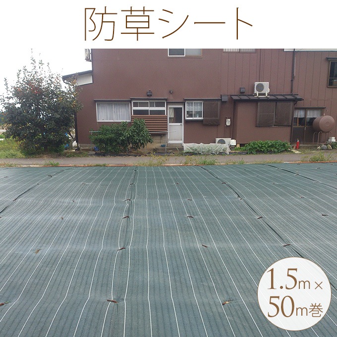 ��̳�� ���𥷡��� 1.5m��50m�� ������ΰ���������/��������ϩ/���٥�Ȳ���/��־�/��̳�ѥ�����/���ס�Ĺ����/�����ǥ�/�����ǥ˥�/�������ƥꥢ/