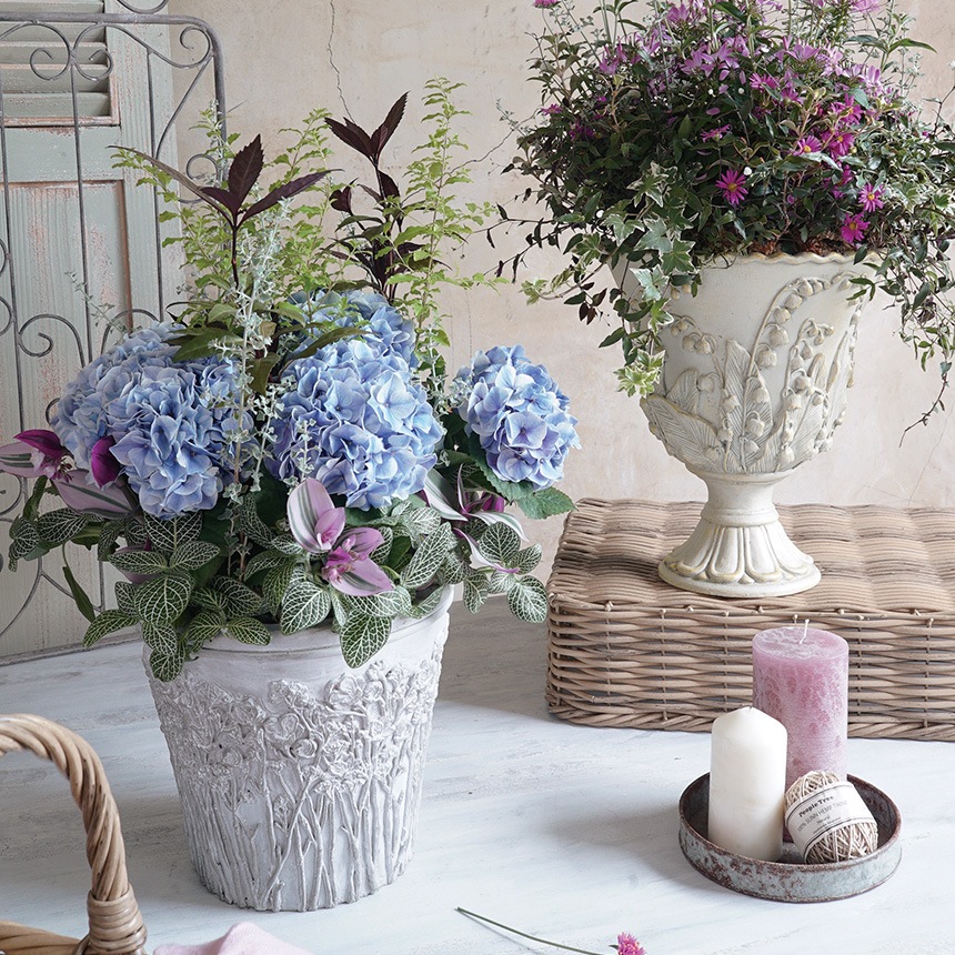 ȭ ƥ ץ󥿡 κ餯 ١å S ľ25.5cm  ץ󥿡С   ȭС  ꤢ 󤻿 ֥ С      ̵