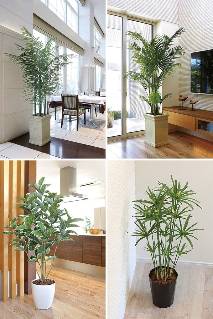 ե꡼ ȭ 礭 տʪ ȭ ե 쥫ѡ 1.7m ͹ ¤  ƥꥢ꡼ 緿 ե