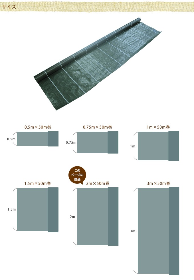 ̳ 𥷡 2m50m к׸ ӥˡ/ǯ 3ǯ/ ־ //饦/ /Ǥݸ///