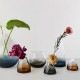   ̲ 饹  Ro Collection 쥯 ե١ no.3  ƥꥢ 饹 ޤ 顼饹 ̲  ͵  ӥ 