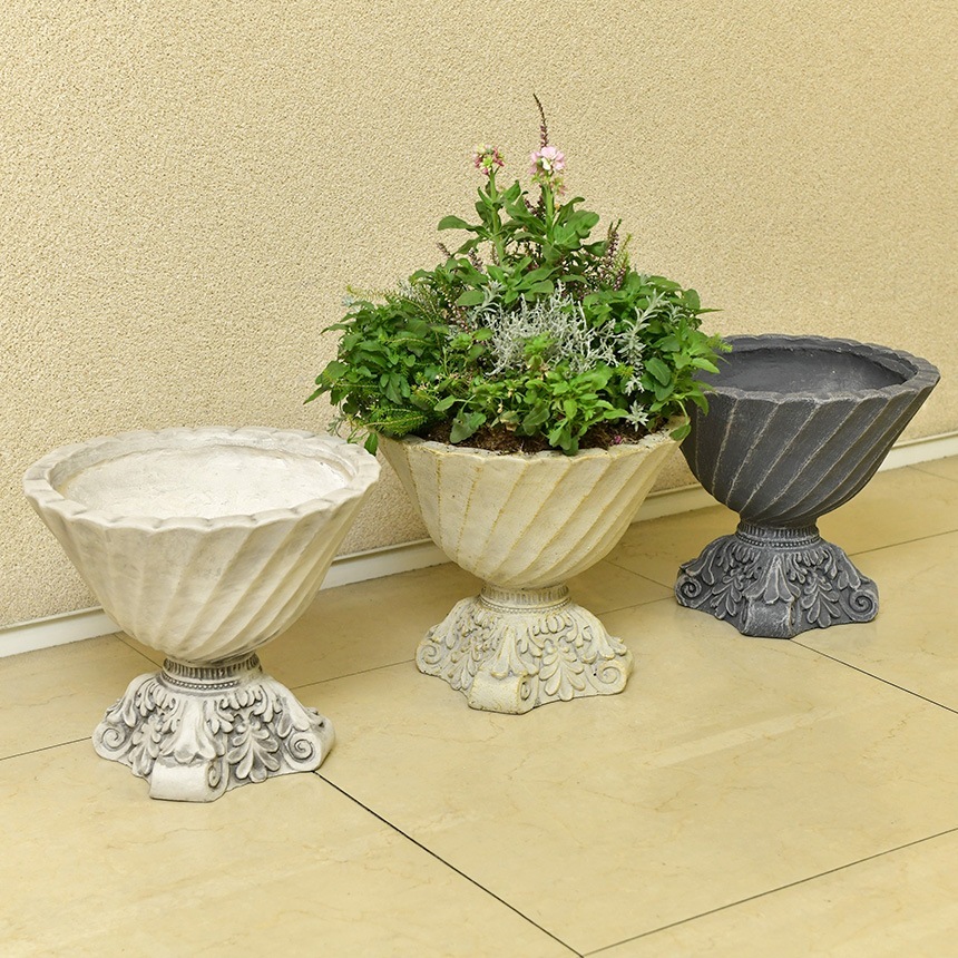 ȭ ץ󥿡 ƥ ֥å  ѥ꡼ A ⤵23.5cm   å׷ 󤻿 ֥ ꤢ եݥå  ɥå ʪ     ̵