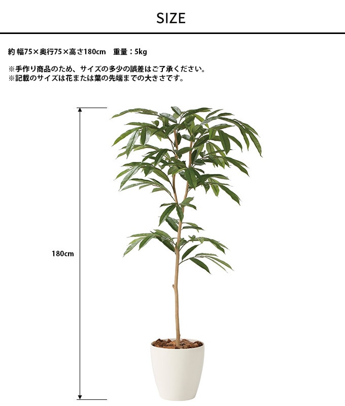 �ե��������꡼�� ȭ���� �礭�� ���տ�ʪ ȭ �ե��������� ���ॹ�ƥ��С����� 1.8m  ������ ����ƥꥢ���꡼�� �緿 ���ե���