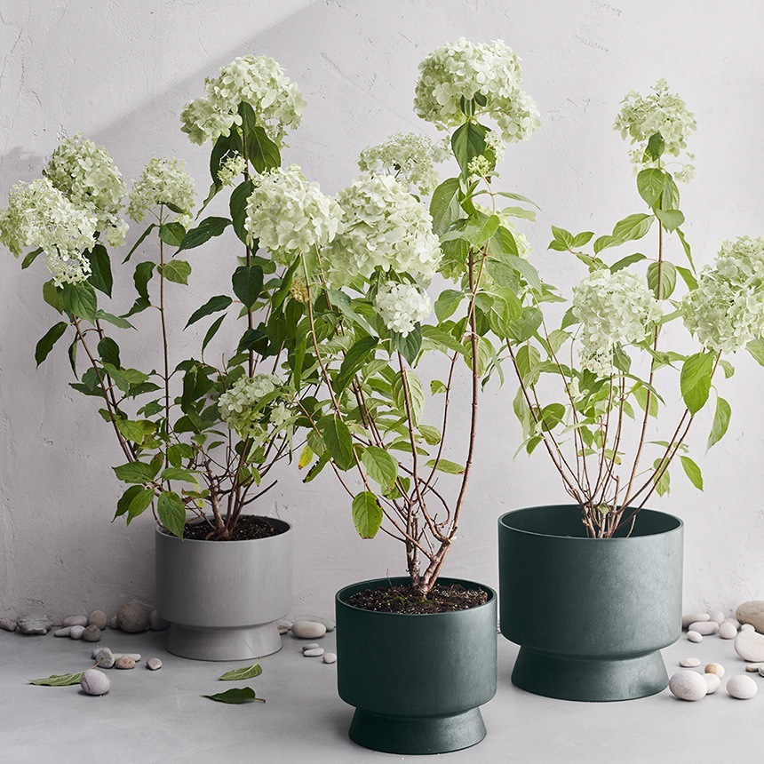 �ץ�󥿡� ���� �ץ饹���å� ������������� Recycled �ե��ݥå� ���꡼�� ľ��19cm   ȭ �ڤ� ����ץ� ������� �̲� ȭ���С�