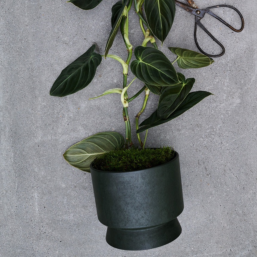 �ץ�󥿡� ���� �ץ饹���å� ������������� Recycled �ե��ݥå� ���꡼�� ľ��19cm   ȭ �ڤ� ����ץ� ������� �̲� ȭ���С�