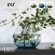 ���� ������� �̲� ���饹 ���� Ro Collection �������쥯����� �ե��١��� no.23  ����ƥꥢ ���饹���� �����ޤ� ���顼���饹 �̲����� ������� �͵� ���� ��ӥ� ����