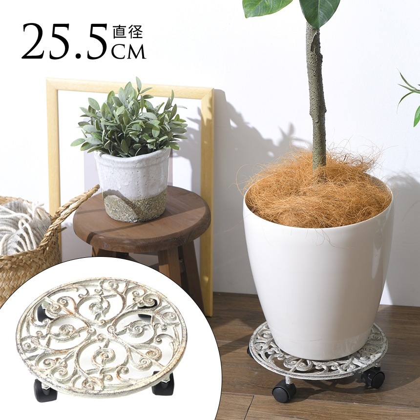  㥹դ ץȥ꡼  ľ25cm  㥹 ƥ ȭ    ץ󥿡 5 6 7 8  ̵