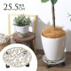  㥹դ ץȥ꡼  ľ25cm  㥹 ƥ ȭ    ץ󥿡 5 6 7 8  ̵