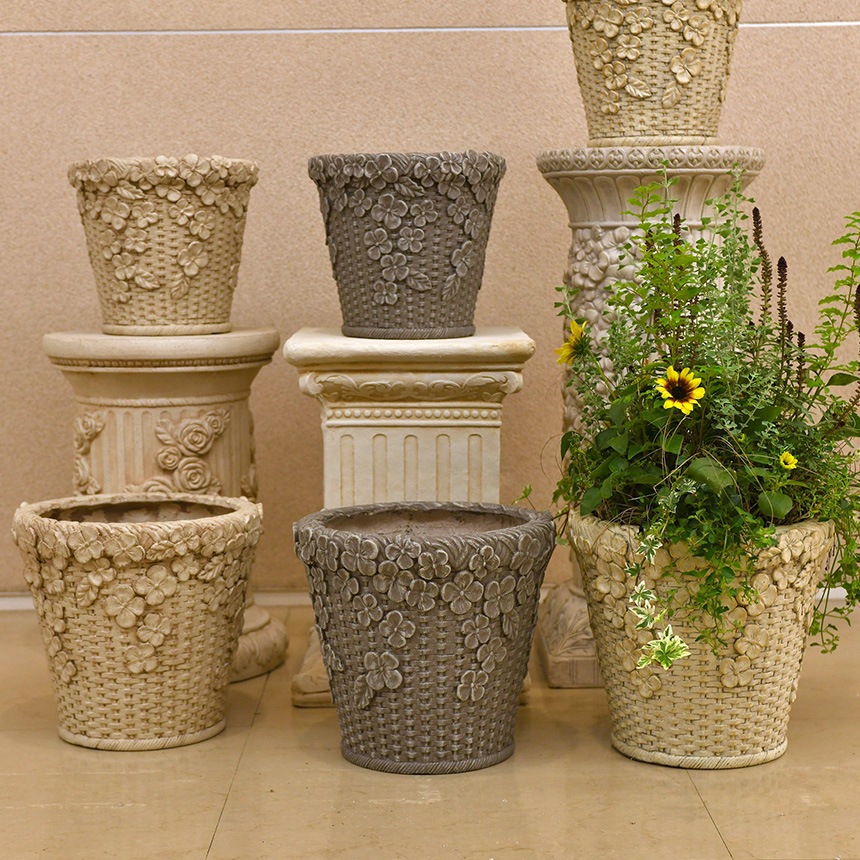 ȭ �ץ�󥿡� ����ƥ����� �����ʥХ����å� ���꡼�� �١����å� S ľ��22.5cm  ���� ���� ȭ���С� ������� ��ꤢ�� �ץ�󥿡����С� ����ȭ ���С� ���襤�� �ե� ���� �����ǥ� �����ǥ˥�  ������̵����