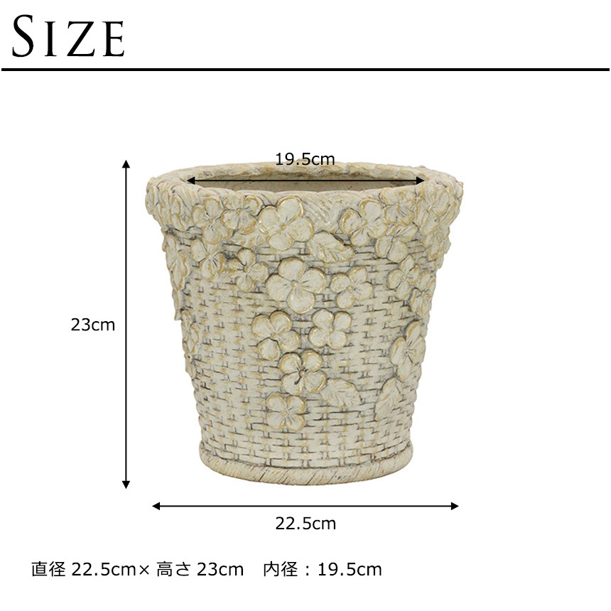 ȭ �ץ�󥿡� ����ƥ����� �����ʥХ����å� ���꡼�� �١����å� S ľ��22.5cm  ���� ���� ȭ���С� ������� ��ꤢ�� �ץ�󥿡����С� ����ȭ ���С� ���襤�� �ե� ���� �����ǥ� �����ǥ˥�  ������̵����