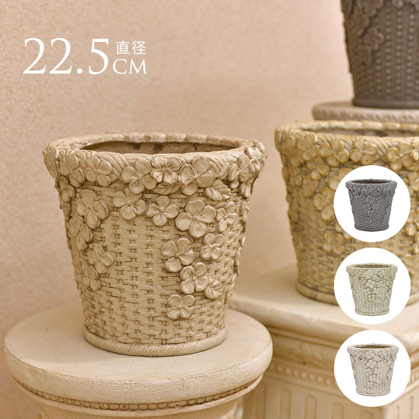 ȭ �ץ�󥿡� ����ƥ����� �����ʥХ����å� ���꡼�� �١����å� S ľ��22.5cm  ���� ���� ȭ���С� ������� ��ꤢ�� �ץ�󥿡����С� ����ȭ ���С� ���襤�� �ե� ���� �����ǥ� �����ǥ˥�  ������̵����