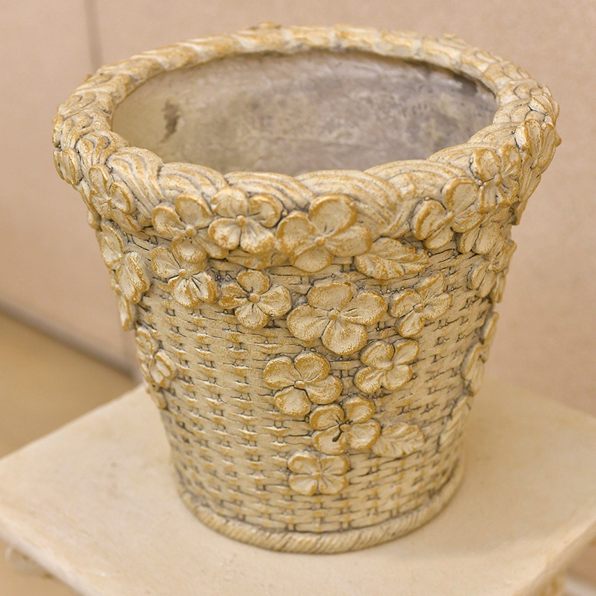 ȭ �ץ�󥿡� ����ƥ����� �����ʥХ����å� ���꡼�� �١����å� S ľ��22.5cm  ���� ���� ȭ���С� ������� ��ꤢ�� �ץ�󥿡����С� ����ȭ ���С� ���襤�� �ե� ���� �����ǥ� �����ǥ˥�  ������̵����