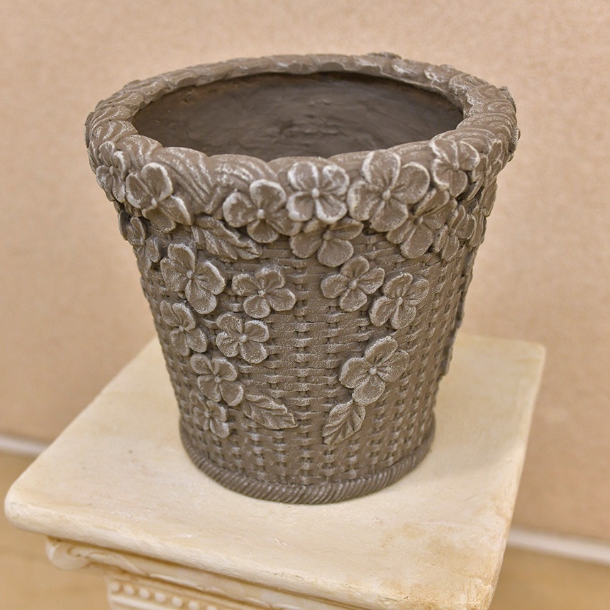 ȭ �ץ�󥿡� ����ƥ����� �����ʥХ����å� ���꡼�� �١����å� S ľ��22.5cm  ���� ���� ȭ���С� ������� ��ꤢ�� �ץ�󥿡����С� ����ȭ ���С� ���襤�� �ե� ���� �����ǥ� �����ǥ˥�  ������̵����