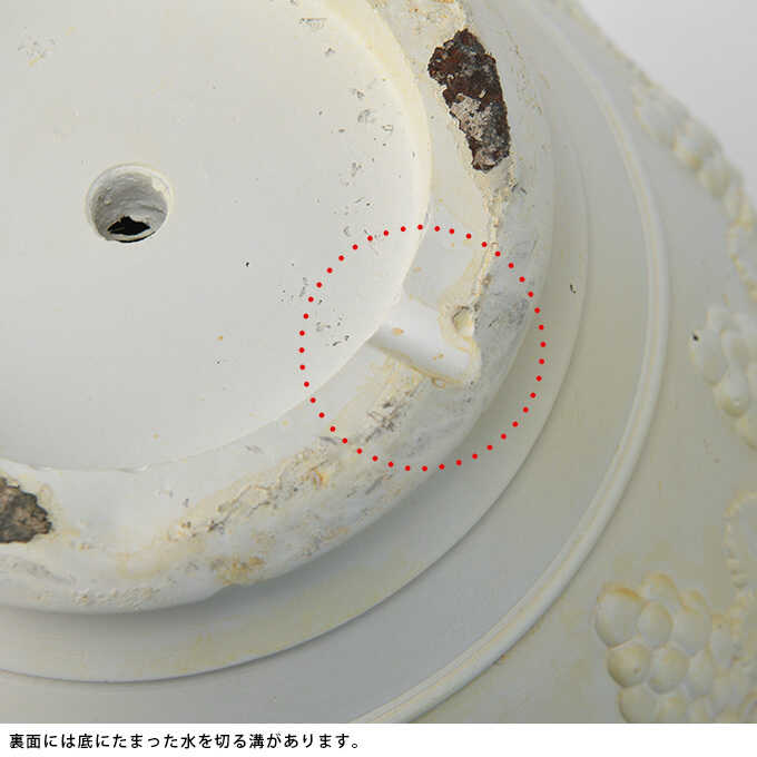 �ץ�󥿡� ȭ �緿 ������Ĵ �ݥå� ˭���Τ֤ɤ� �礭�� �緿����ƥ�����/����ȭ/�ִ�/����/��ȥ� �ե��� �ե��/�����ǥ˥�/�礭��/�衼���ԥ���/����/