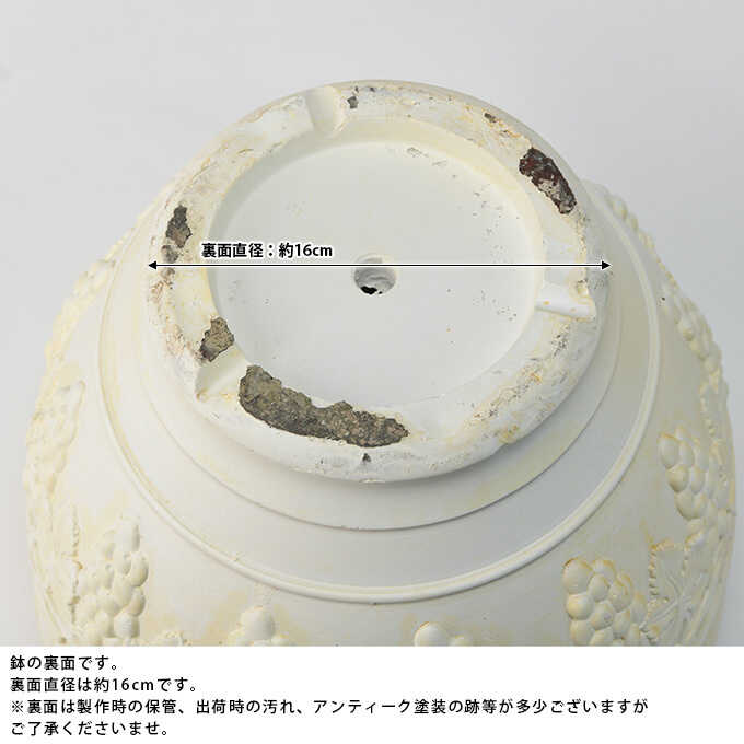 �ץ�󥿡� ȭ �緿 ������Ĵ �ݥå� ˭���Τ֤ɤ� �礭�� �緿����ƥ�����/����ȭ/�ִ�/����/��ȥ� �ե��� �ե��/�����ǥ˥�/�礭��/�衼���ԥ���/����/