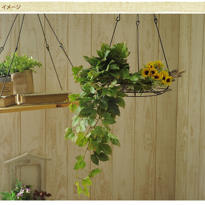 ե꡼ ϥ󥮥 ɳݤ ӡ֥å 67cm  ¤ ƥꥢ  ǥץ쥤     ӥ 