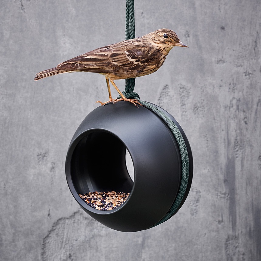  Recycled ϥ󥮥 Сɥե 饦  ǥ󻨲  ̲ ֥ ǥ˥󥰻