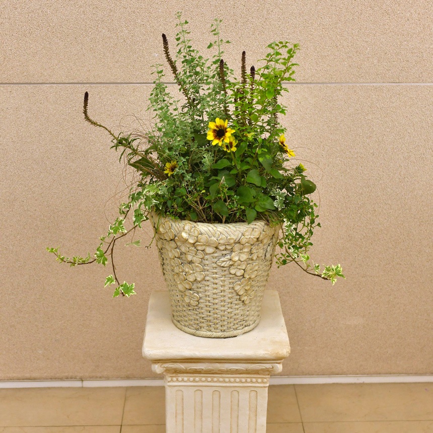 ȭ ץ󥿡 ƥ ʥХå ꡼ ١å L ľ30cm    ȭС  ꤢ ץ󥿡С ȭ С 襤 ե  ǥ ǥ˥  ̵