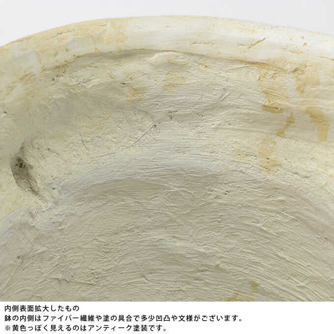 ץ󥿡 緿 Ĵ ݥå Ĥ ȭ礭ƥ/ȭ/ִ//ȥ/ǥ˥/礭/衼ԥ//