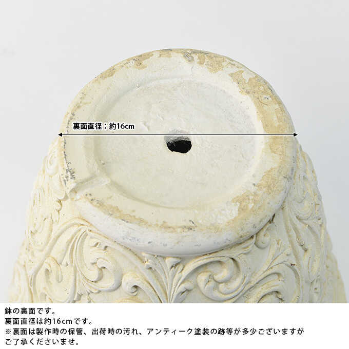 ץ󥿡 緿 Ĵ ݥå Ĥ ȭ礭ƥ/ȭ/ִ//ȥ/ǥ˥/礭/衼ԥ//