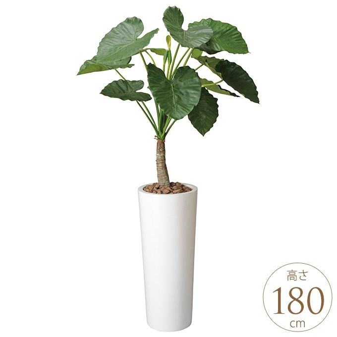 ե꡼ ȭ 礭 տʪ ȭ ե Ȥ鷺 1.8m ͹ ¤  ƥꥢ꡼ 緿 ե