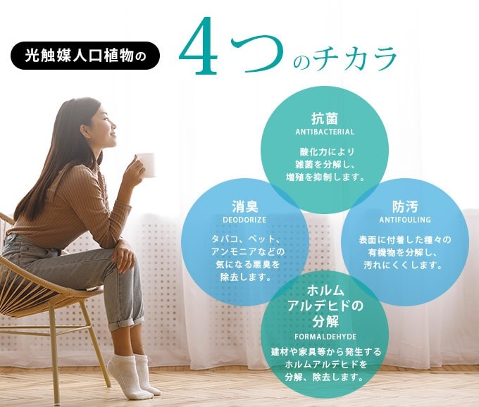 ե꡼ ȭ 礭 տʪ ȭ ե Ȥ鷺 1.8m ͹ ¤  ƥꥢ꡼ 緿 ե