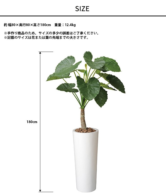 ե꡼ ȭ 礭 տʪ ȭ ե Ȥ鷺 1.8m ͹ ¤  ƥꥢ꡼ 緿 ե